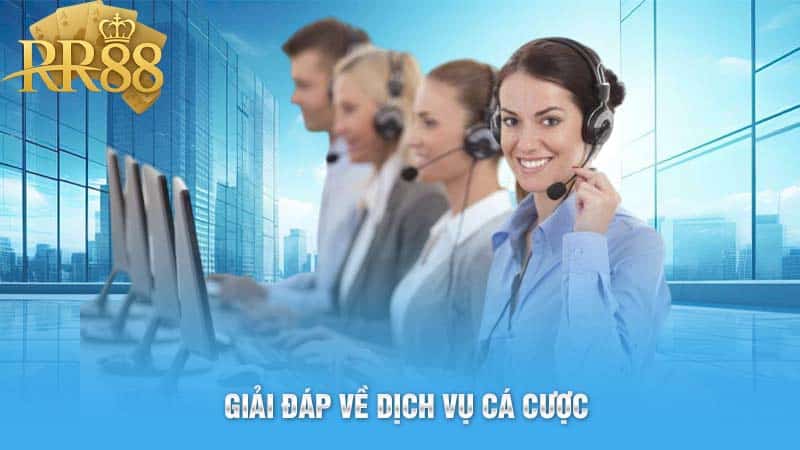 Giải đáp về dịch vụ cá cược